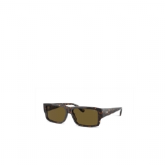 Diesel Men Rectangle sunglasses Brown LX200300LEN