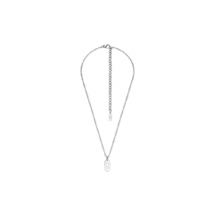 Diesel Men Stainless steel pendant necklace Silver DX166100DJW