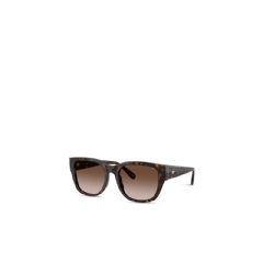 Diesel Men Square sunglasses Brown LX200500LEN