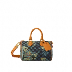 Louis Vuitton Men Speedy 25 Bandoulière N00225