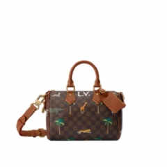 Louis Vuitton Men Speedy 25 Bandoulière x The Darjeeling Limited N40857