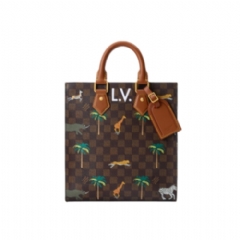 Louis Vuitton Men Mini Sac Plat x The Darjeeling Limited N40862