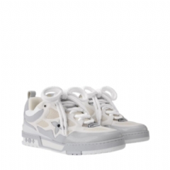Louis Vuitton Men LV Skate Sneaker 1AILFS