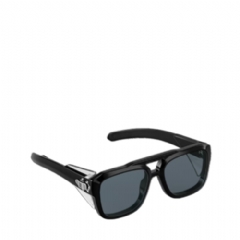 Louis Vuitton Men LV Frog Pilot Sunglasses Black Z3030U