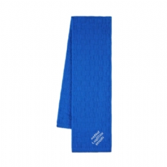 Louis Vuitton Men Damier Snug Scarf Blue M92744