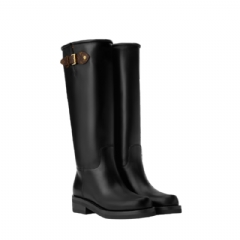 Louis Vuitton Women LV Biker High Boot 1AICVV