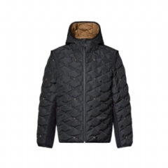 Louis Vuitton Men Convertible Down Blouson 1AJBBK