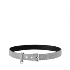 Louis Vuitton Women LV D-Ring Ard 30mm Belt M4012U