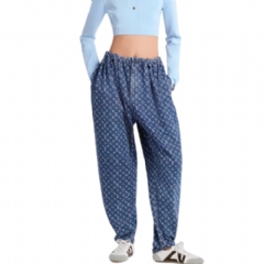 Louis Vuitton Women Monogram Denim Pants 1AI208