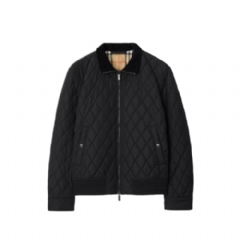 Burberry Men Quilted Nylon Jacket Black 81157891