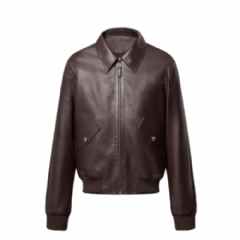 Louis Vuitton Men Elegant Leather Bomber 1AGMXG