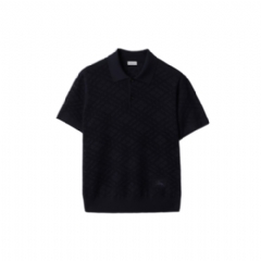 Burberry Men Check Wool Polo Shirt Silhouette blue 81184931