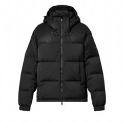 Louis Vuitton Men Placed Monogram Ecodown Blouson 1AGMGA