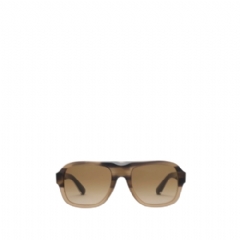 Burberry Men Classic Pilot Sunglasses Beige 40849821