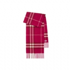 Burberry Women Check Cashmere Scarf Jam 81127091