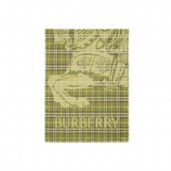 Burberry Women Wide EKD Check Wool Silk Scarf Pea green 81179011
