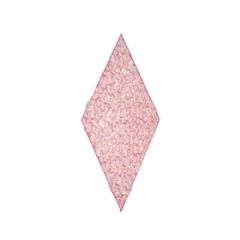 Burberry Women Daisy Silk Scarf Allium purple 81254601