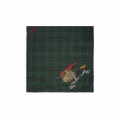 Burberry Women Crystal EKD Check Silk Scarf Brigade green 81138941