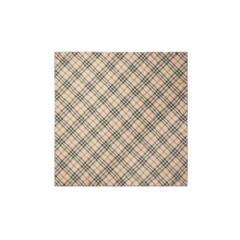 Burberry Women Check Silk Scarf Stone 80952231
