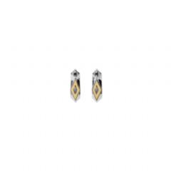 Burberry Women Small Hollow Hoop Earrings Silver/gold 80747661