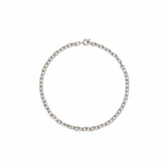 Burberry Women Charm Chain Necklace Silver 81205951